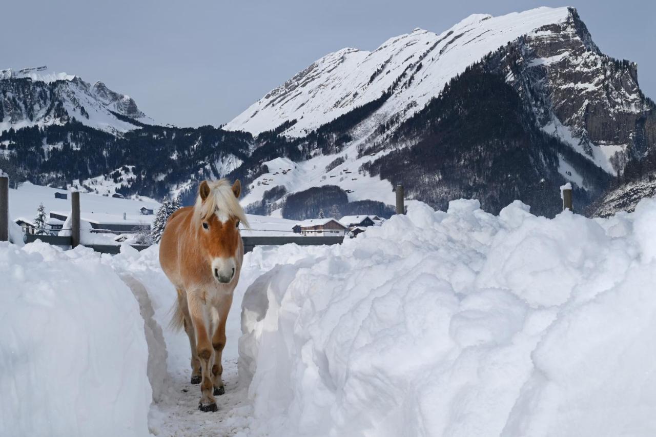 Haus Bergquell Appartement Au (Vorarlberg) Buitenkant foto
